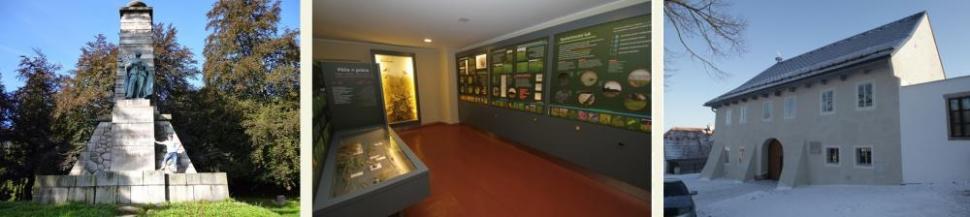 237center_panel_klenci
